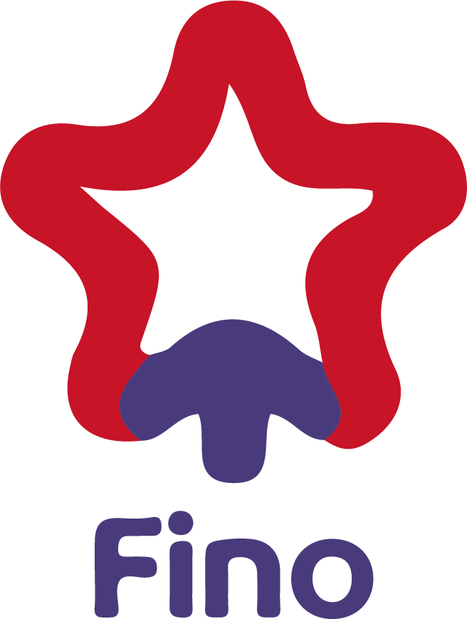 Fino Paytech Limited Unlisted Shares